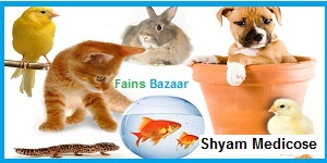 SHYAM MEDICOSE |TOP PET SHOP RAMGHAT ROAD | IN ALIGARH-FAINS BAZAAR